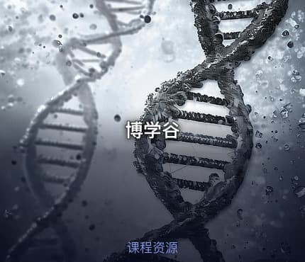 博学谷