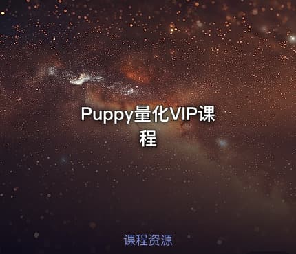 Puppy量化VIP课程