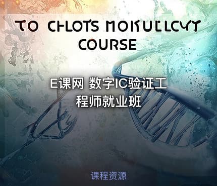 E课网 数字IC验证工程师就业班
