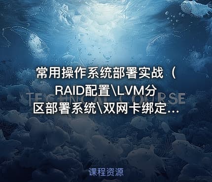 常用操作系统部署实战（RAID配置\LVM分区部署系统\双网卡绑定）
