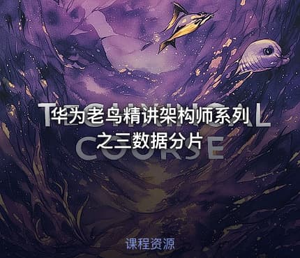 华为老鸟精讲架构师系列之三数据分片