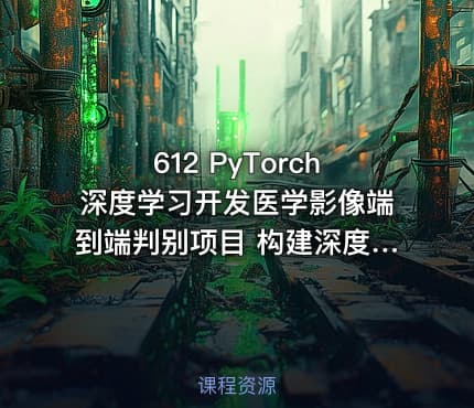 612 PyTorch深度学习开发医学影像端到端判别项目 构建深度学习模型 更新中