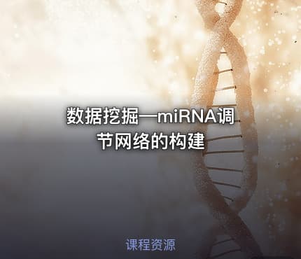 数据挖掘—miRNA调节网络的构建
