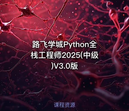 路飞学城Python全栈工程师2025(中级)V3.0版