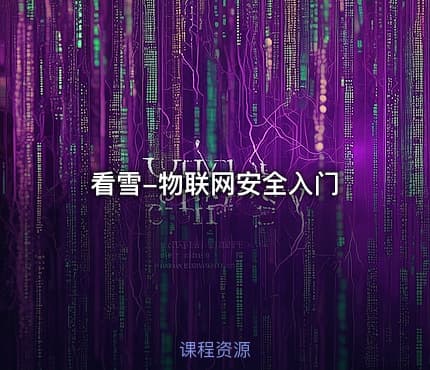 看雪-物联网安全入门