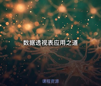 数据透视表应用之道