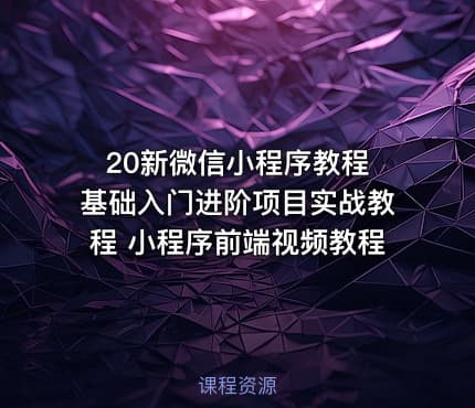 20新微信小程序教程 基础入门进阶项目实战教程 小程序前端视频教程