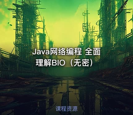 Java网络编程 全面理解BIO（无密）