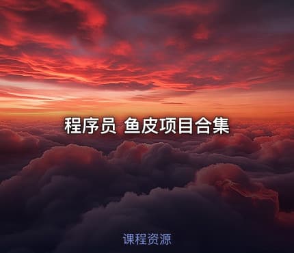程序员 鱼皮项目合集