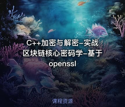 C++加密与解密-实战区块链核心密码学-基于openssl