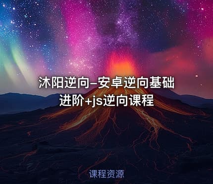 沐阳逆向-安卓逆向基础进阶+js逆向课程