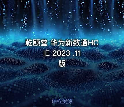 乾颐堂 华为新数通HCIE 2023 .11版