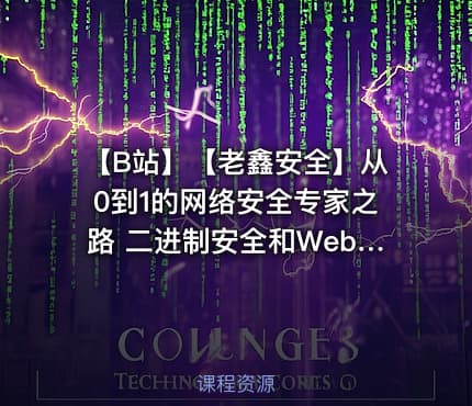 【B站】【老鑫安全】从0到1的网络安全专家之路 二进制安全和Web安全