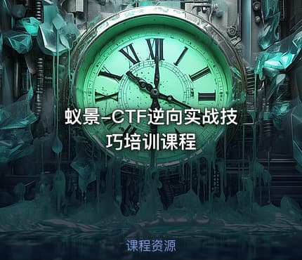 蚁景-CTF逆向实战技巧培训课程