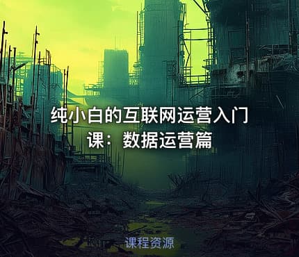 纯小白的互联网运营入门课：数据运营篇