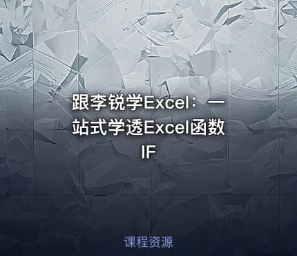 跟李锐学Excel：一站式学透Excel函数IF
