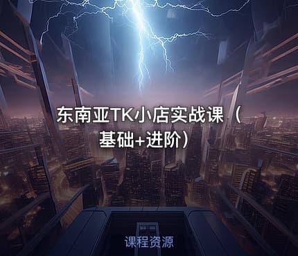 东南亚TK小店实战课（基础+进阶）