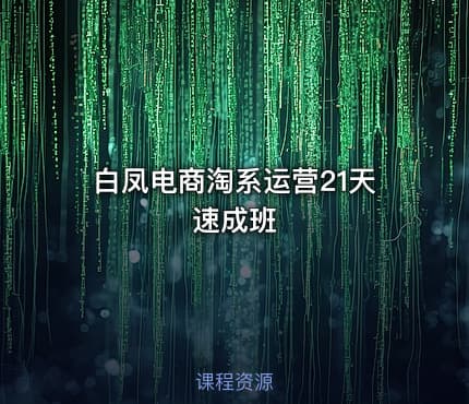 白凤电商淘系运营21天速成班