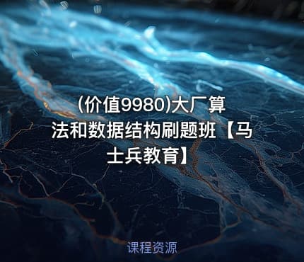 (价值9980)大厂算法和数据结构刷题班【马士兵教育】
