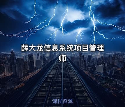 薛大龙信息系统项目管理师