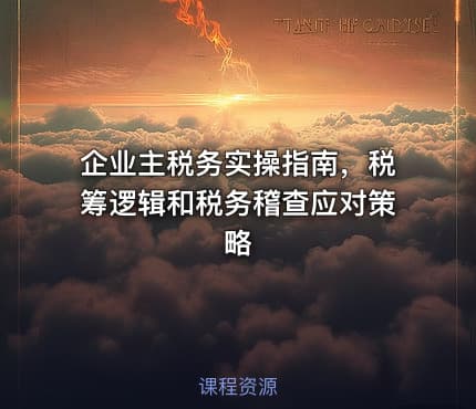企业主税务实操指南，税筹逻辑和税务稽查应对策略