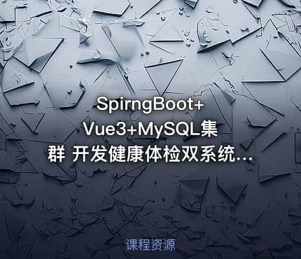SpirngBoot+Vue3+MySQL集群 开发健康体检双系统|完结无秘