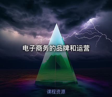 电子商务的品牌和运营