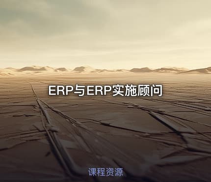ERP与ERP实施顾问