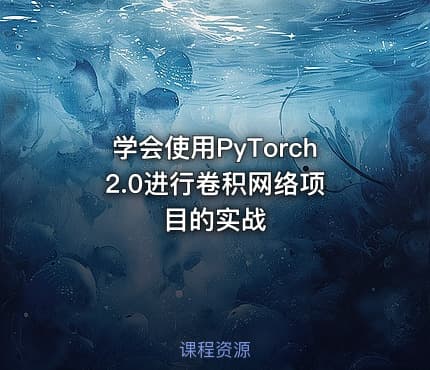学会使用PyTorch 2.0进行卷积网络项目的实战