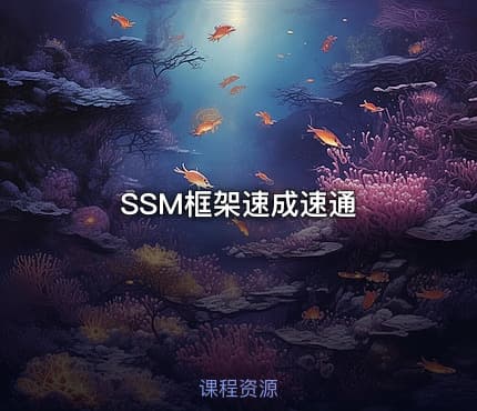 SSM框架速成速通