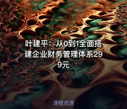 叶建平：从0到1全面搭建企业财务管理体系299元
