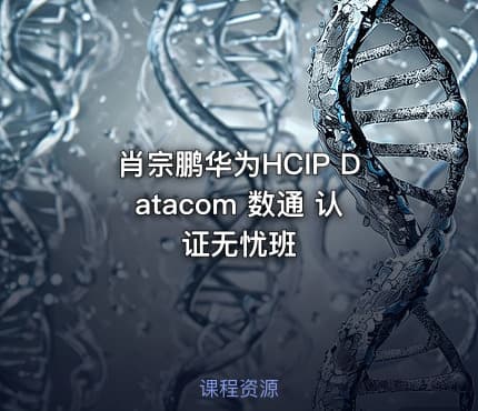 肖宗鹏华为HCIP Datacom 数通 认证无忧班