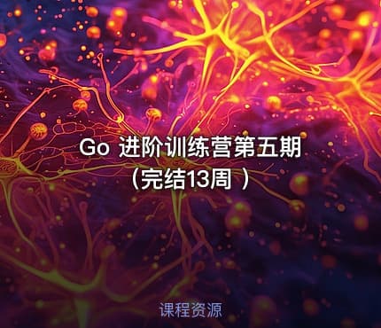 Go 进阶训练营第五期（完结13周 ）