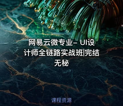 网易云微专业- UI设计师全链路实战班|完结无秘