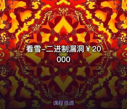 看雪-二进制漏洞￥20000
