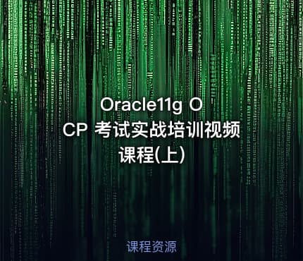Oracle11g  OCP 考试实战培训视频课程(上)