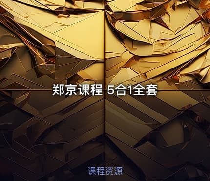 郑京课程 5合1全套