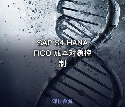 SAP S4 HANA FICO 成本对象控制