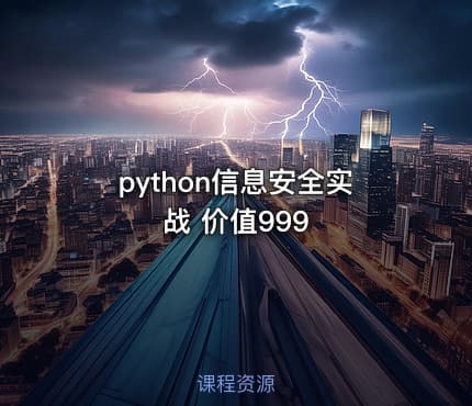 python信息安全实战 价值999