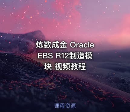 炼数成金 Oracle EBS R12制造模块 视频教程