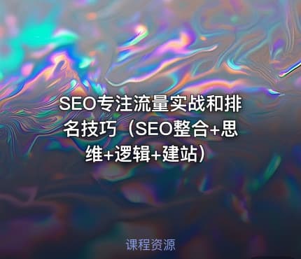 SEO专注流量实战和排名技巧（SEO整合+思维+逻辑+建站）