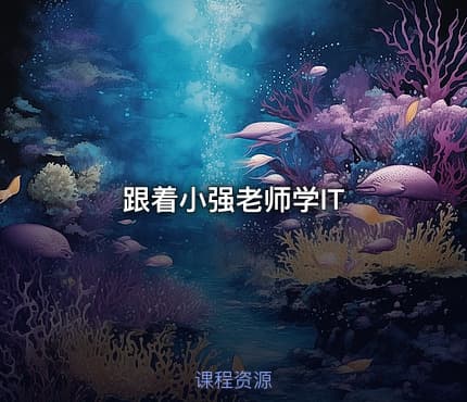 跟着小强老师学IT