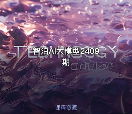 智泊AI大模型2409期