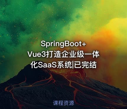 SpringBoot+Vue3打造企业级一体化SaaS系统|已完结
