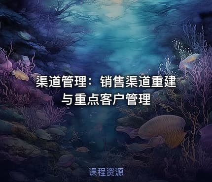 渠道管理：销售渠道重建与重点客户管理