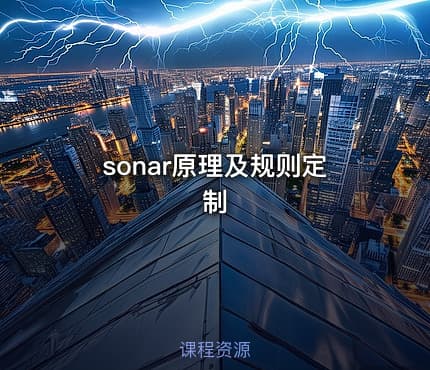 sonar原理及规则定制
