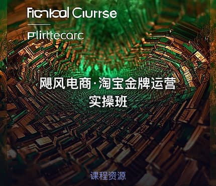 飓风电商·淘宝金牌运营实操班
