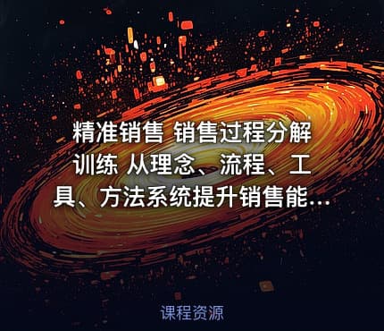 精准销售 销售过程分解训练 从理念、流程、工具、方法系统提升销售能力