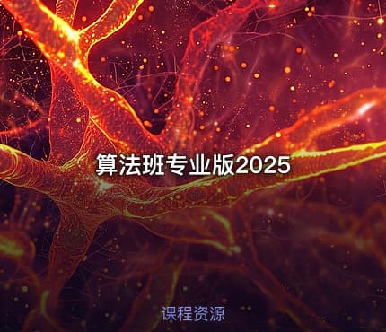 算法班专业版2025