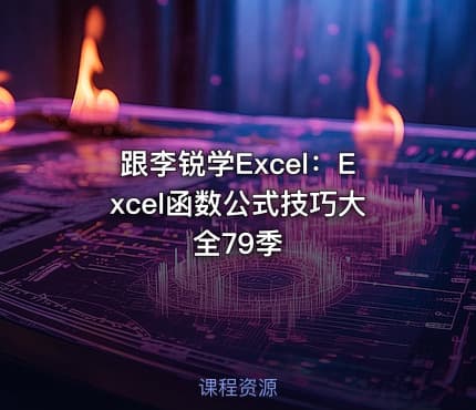 跟李锐学Excel：Excel函数公式技巧大全79季